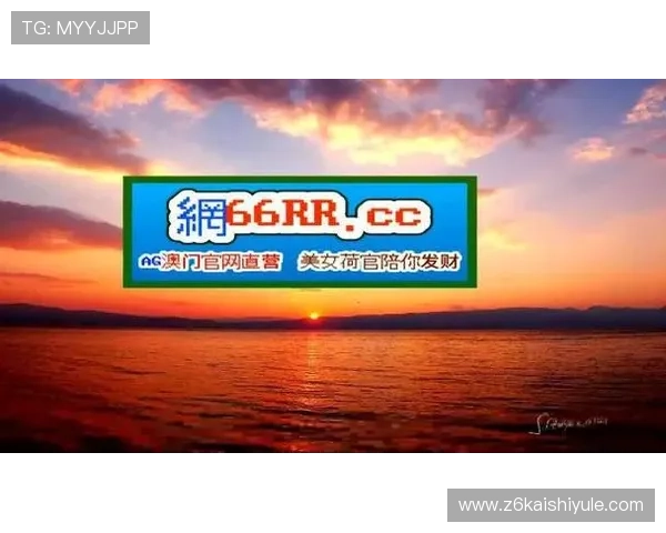 深入了解尊龙凯时网址登录线路的功能特色与优势